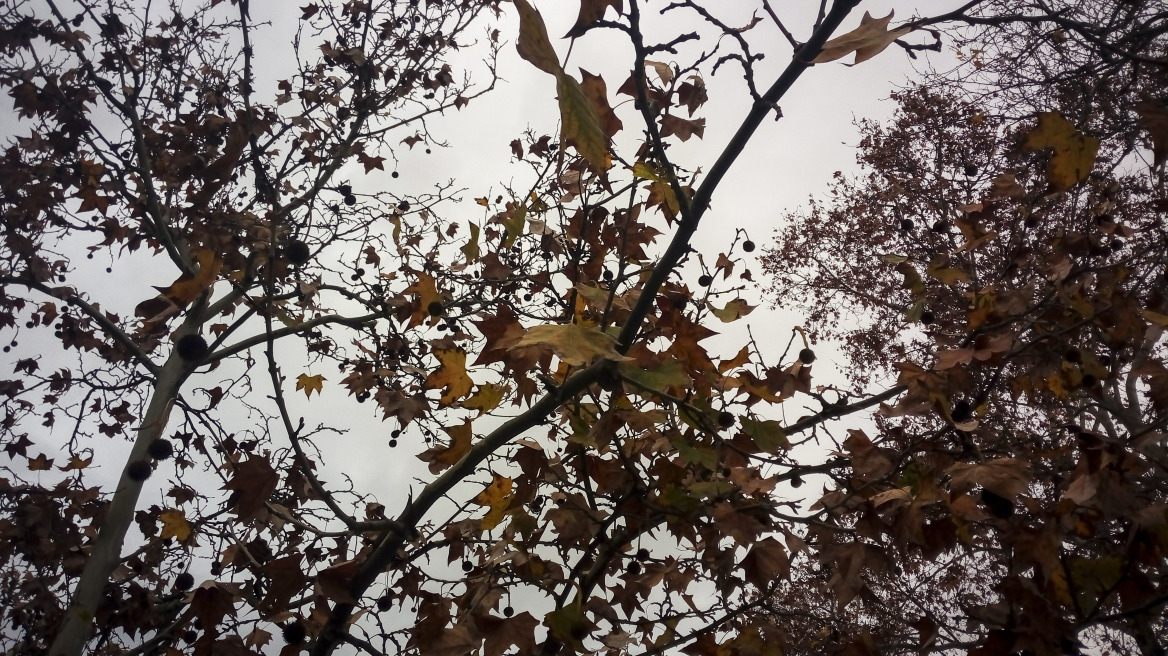 Νεφώσεις με μικρή άνοδο της θερμοκρασίας σήμερα 