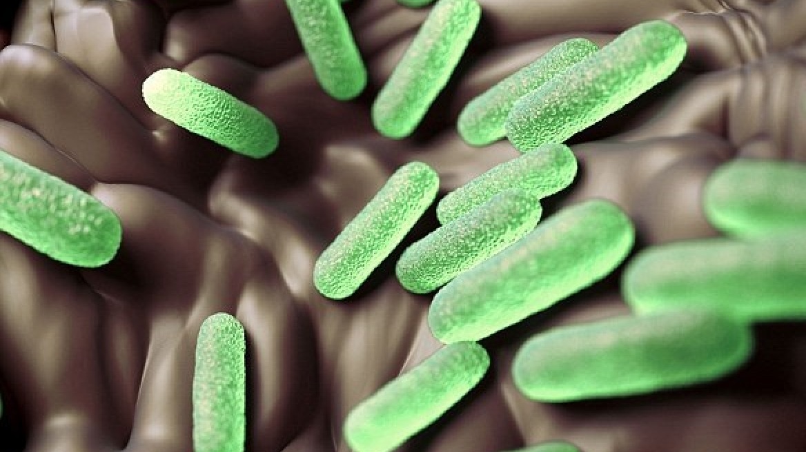 Η σαλμονέλα αφάνισε τους Αζτέκους μέσα σε πέντε χρόνια, σύμφωνα με έρευνα 