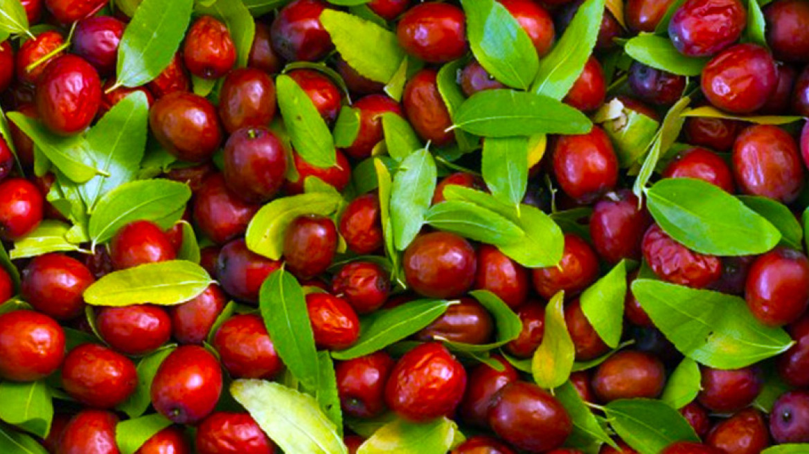 Είναι οι καρποί της τζιτζιφιάς το νέο superfood;