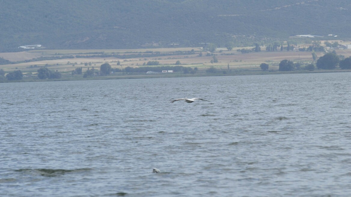 Συνεχίζονται οι έρευνες στη Βόλβη για τον 40χρονο ψαρά