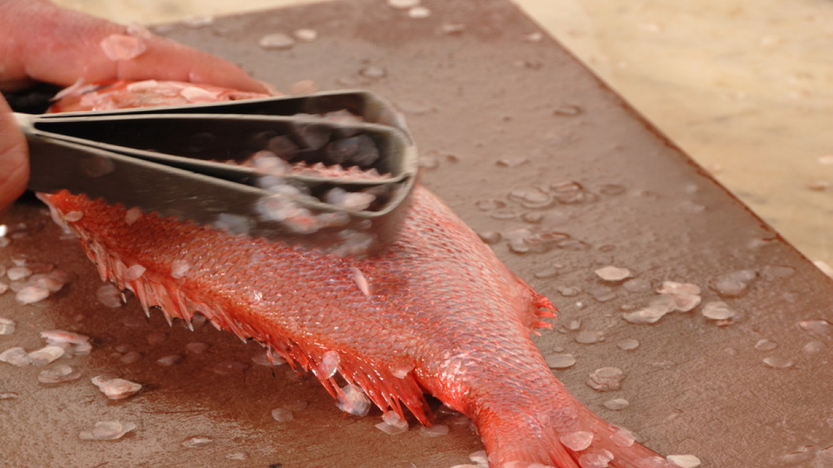 Πώς να καθαρίσετε εύκολα τα ψάρια