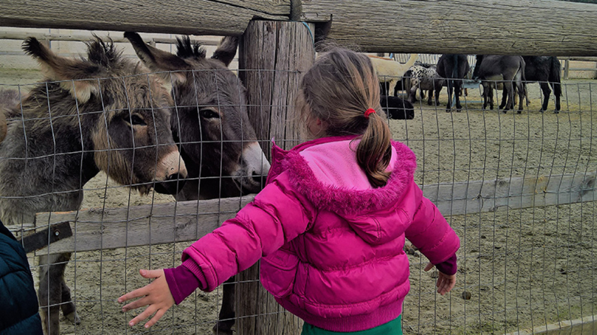Ιππασία με παιδιά… στον Κουβαρά