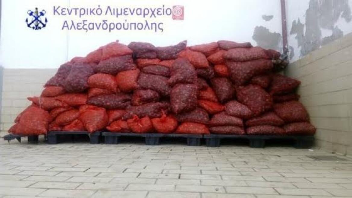 Κατασχέθηκαν δύο τόνοι με «ακατάλληλα προς κατανάλωση» όστρακα στον Έβρο