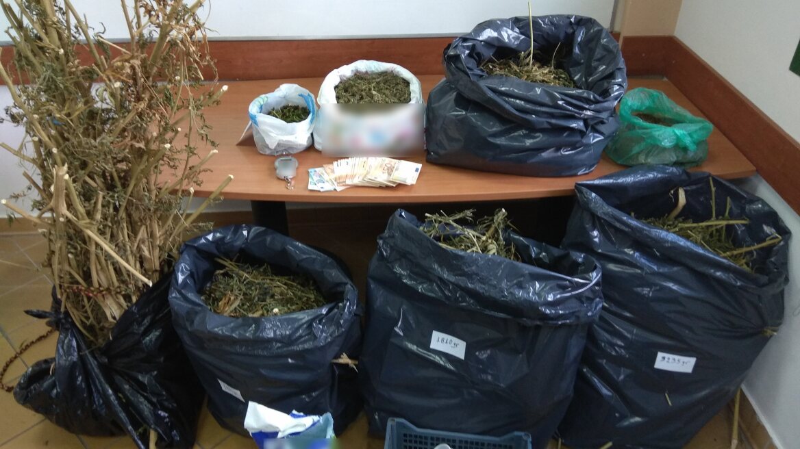 Αγρίνιο: «Τσίμπησαν» κτηνοτρόφο με λαθραίο καπνό και δέκα κιλά χασίς 