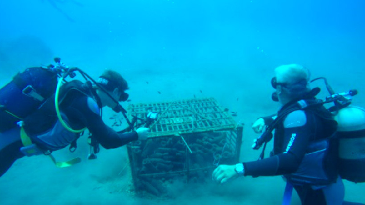 Όταν η θάλασσα έγινε… οινοποιείο