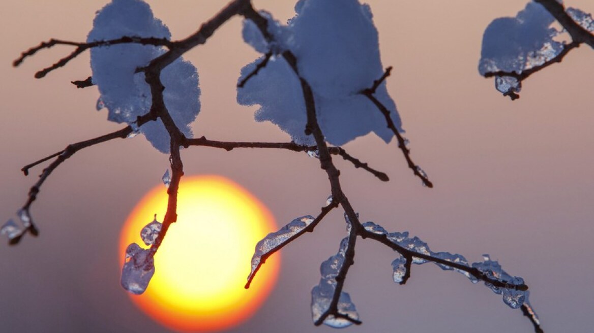 Εως και 16 μέρες νωρίτερα απ' ό,τι πριν 10 χρόνια έρχεται η άνοιξη στις αρκτικές περιοχές!