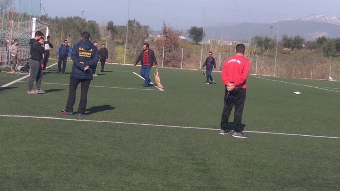 Φρίκη στην Αχαΐα: Πυροβόλησαν και σκότωσαν σκυλιά μέσα σε γήπεδο