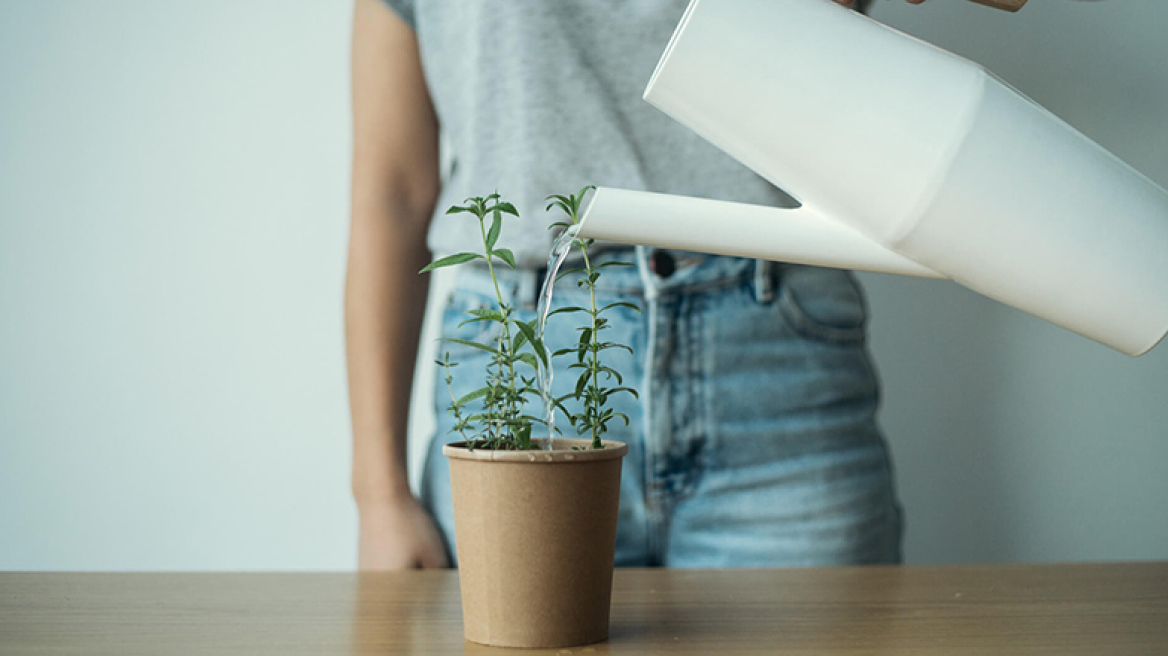 Το στικάκι των βοτάνων!