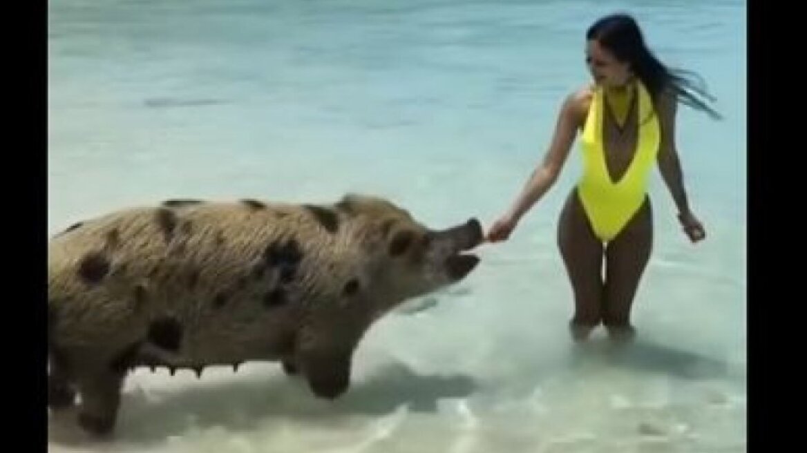 Τρελά σκηνικά που μπορεί να συμβούν και δίπλα μας