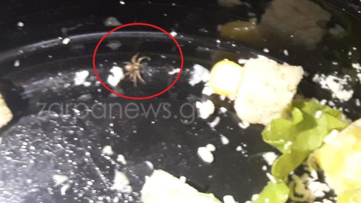 Χανιά: Σαλάτα με... αράχνη σε σουβλατζίδικο!