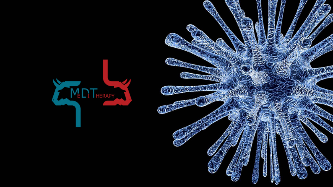 Τα αδέλφια, η εταιρεία και το τεστ