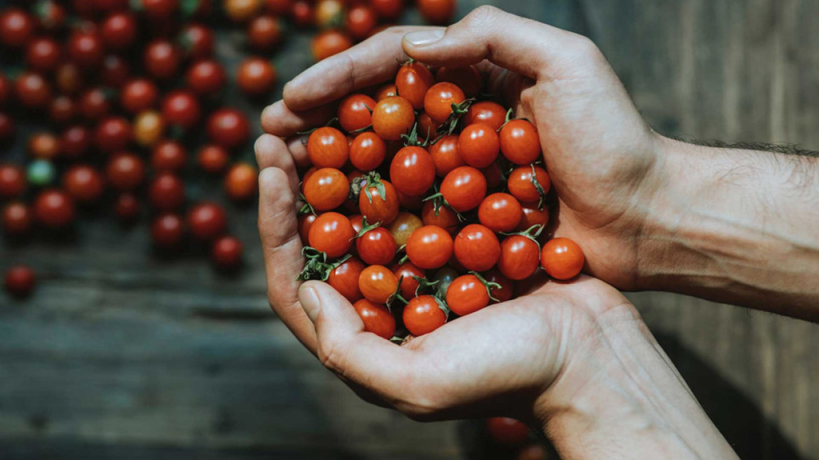 Στήριξη στους μικρούς παραγωγούς απο την ΑΒ Βασιλόπουλος