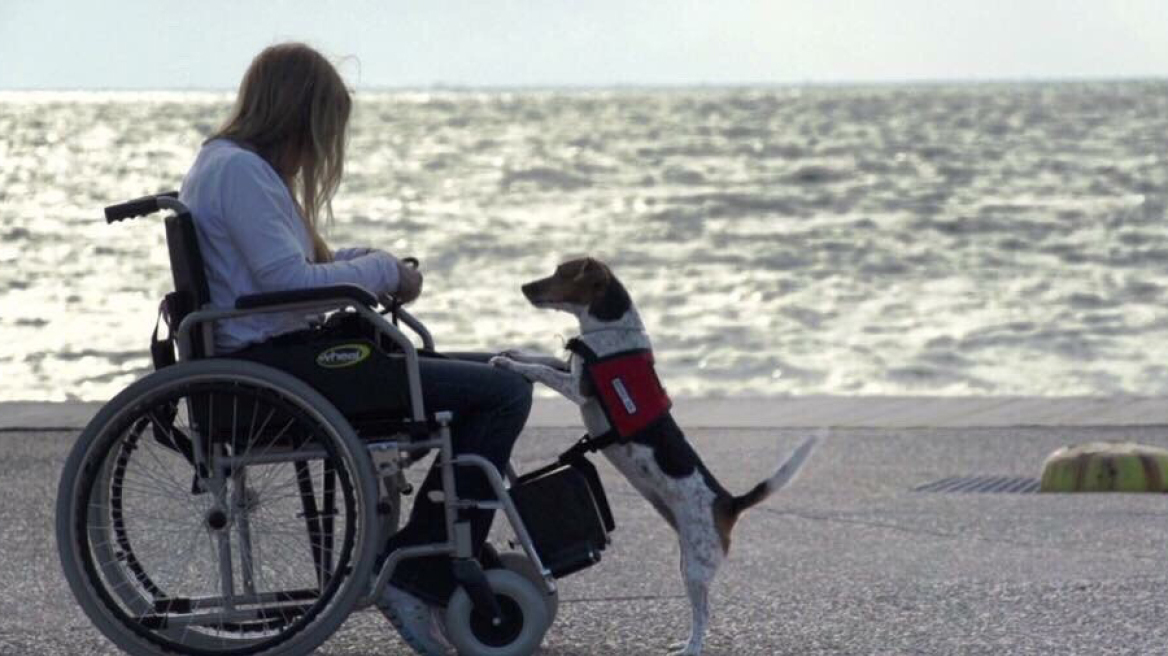 Σκύλοι: Αλλάζουν τις ζωές των ατόμων με ειδικές ανάγκες