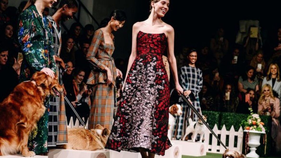 Η χθεσινή επίδειξη της Lela Rose έκαναν πασαρέλα και σκυλιά