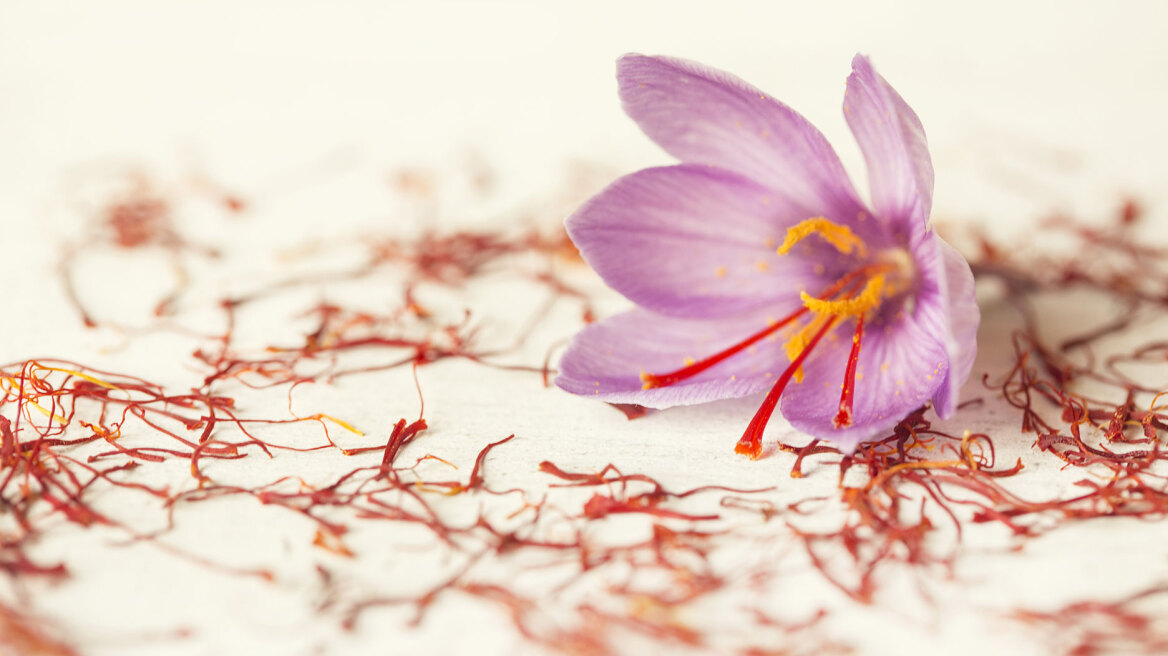 Κρόκος Κοζάνης: Ο αναπάντεχος «βοηθός» στη θεραπεία της ΔΕΠΥ