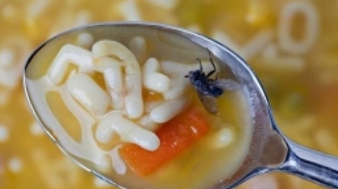 Τι θα συμβεί αν μια μύγα ακουμπήσει το φαγητό σας