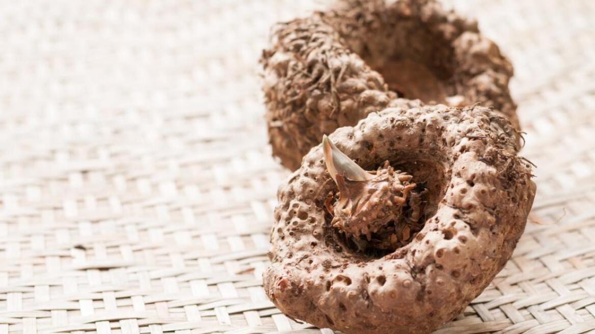 Γλυκομαννάνη: 4 ερωτήσεις για τη φυτική ουσία που βοηθάει στο αδυνάτισμα 