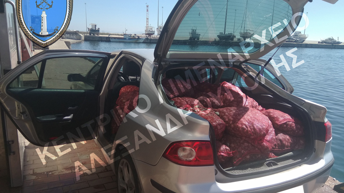 Κατασχέθηκαν 1.253 κιλά όστρακα στην Αλεξανδρούπολη