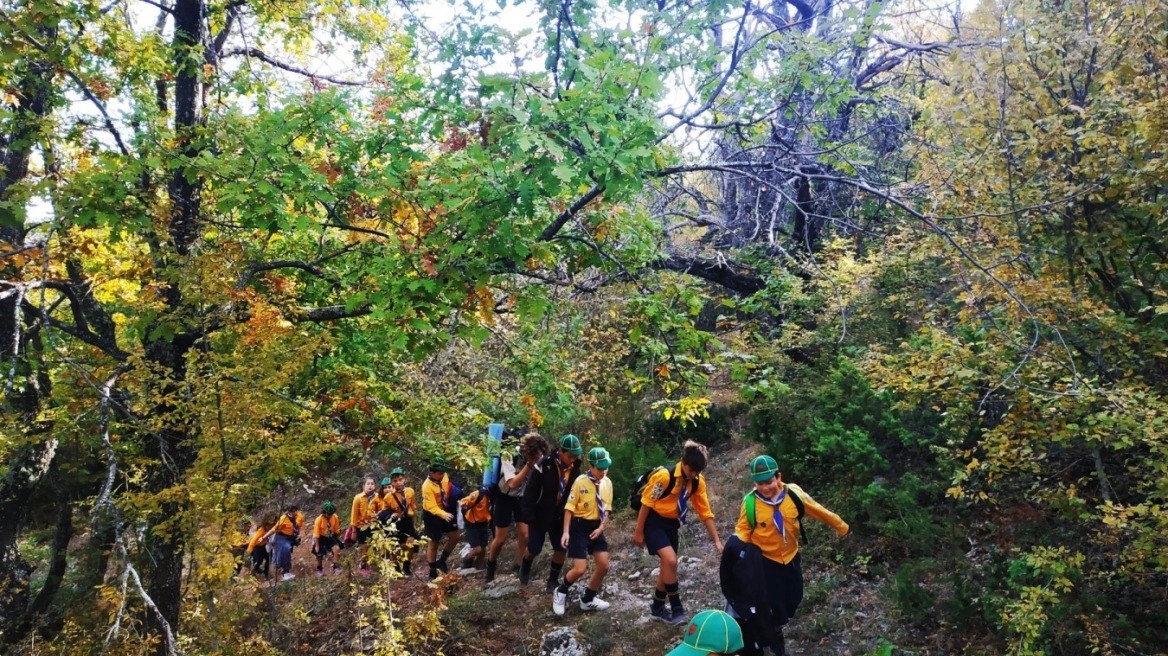 Παγκόσμια Ημέρα Δάσους και Νερού: Οι πρωτοβουλίες των Προσκόπων για τα δάση και το πόσιμο νερό
