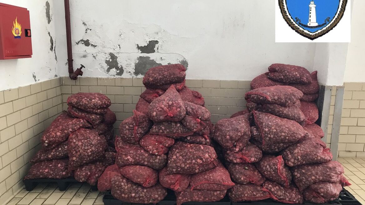 Άλλοι δυόμισι τόνοι ακατάλληλα όστρακα στον Έβρο