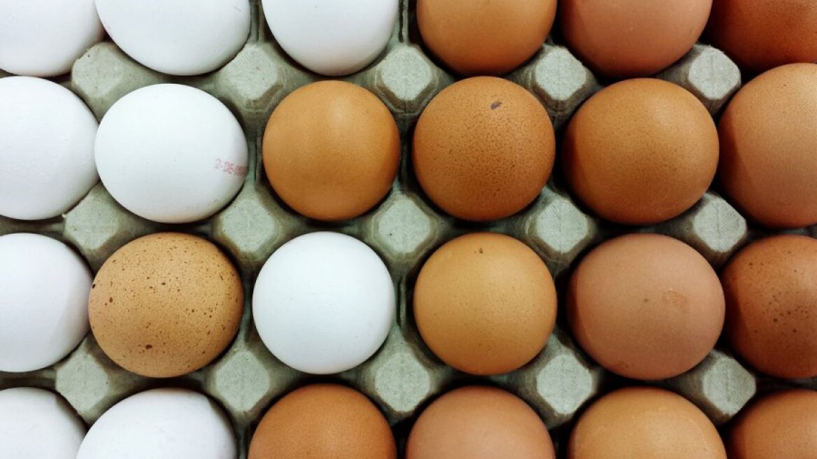 Αυτή είναι η διαφορά των λευκών και των καφέ αυγών
