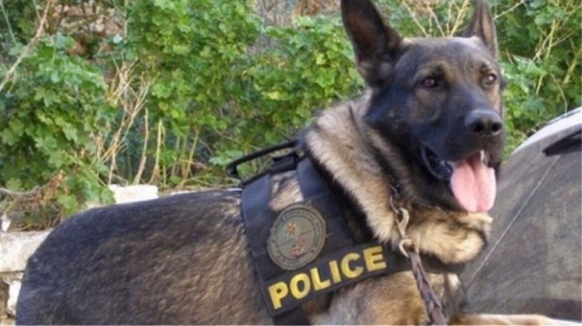 Η Vamma τσάκωσε ανήλικους με ναρκωτικά στην Κέρκυρα