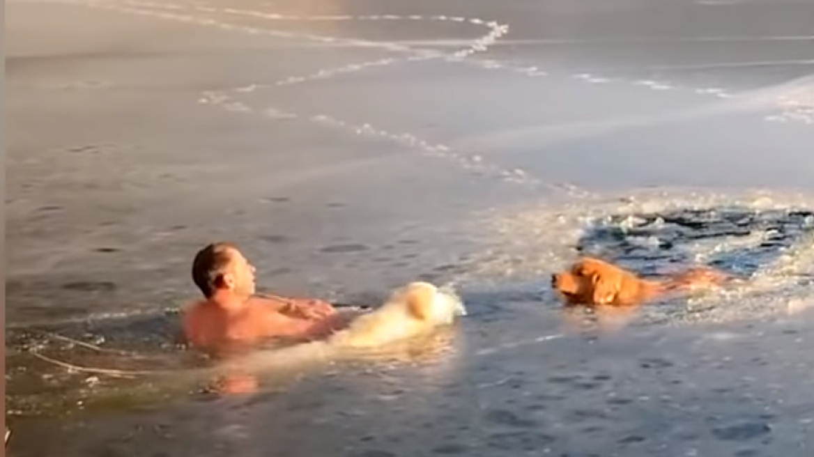 Δραματική διάσωση σκύλων που εγκλωβίστηκαν στον πάγο