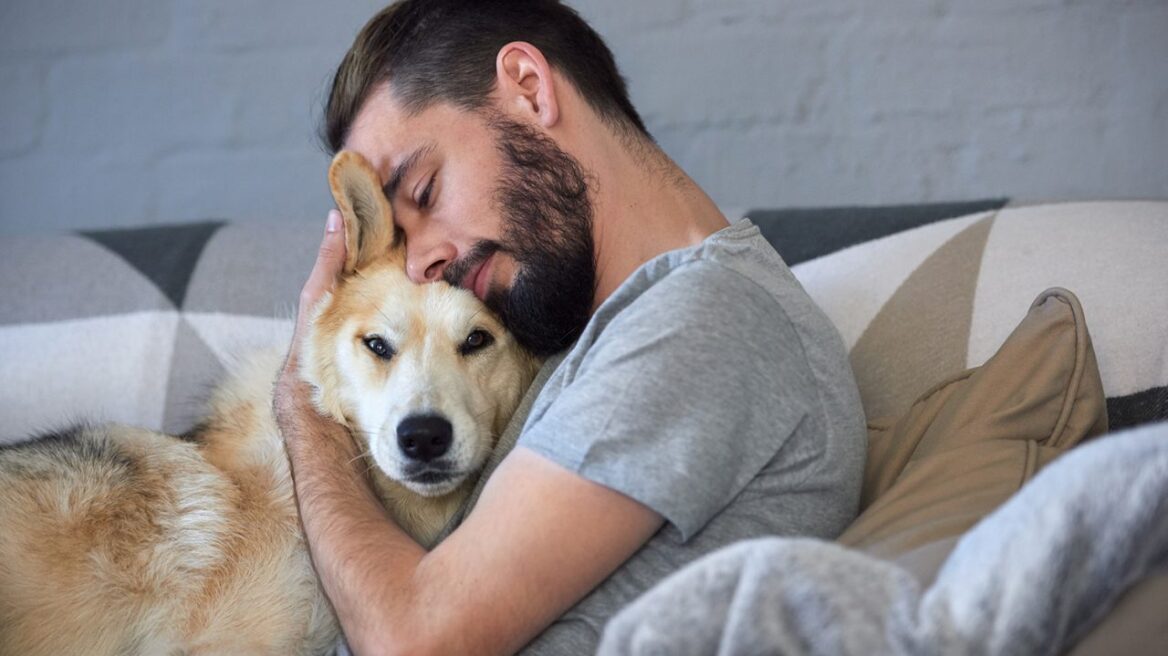 Χάσατε τον σκύλο ή τη γάτα σας; Τι να κάνετε για να τα βρείτε