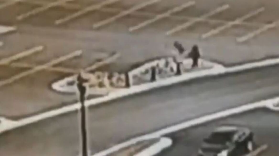 «Συναγερμός» σε πανεπιστήμιο των ΗΠΑ για μια... χήνα