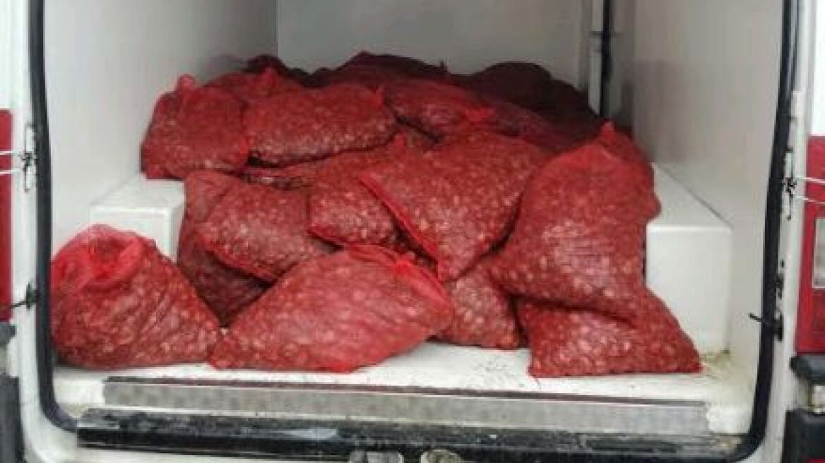  Ακατάλληλα όστρακα 2,5 τόνων κατασχέθηκαν  στον Έβρο