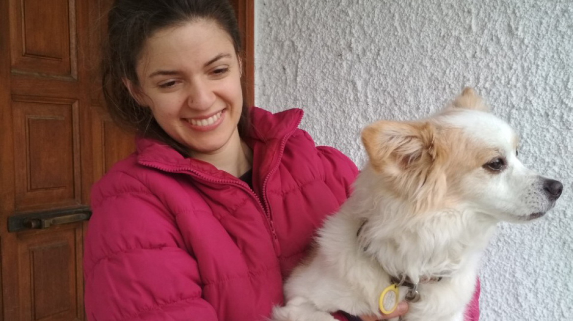 Ακονίζοντας το μυαλό του σκύλου