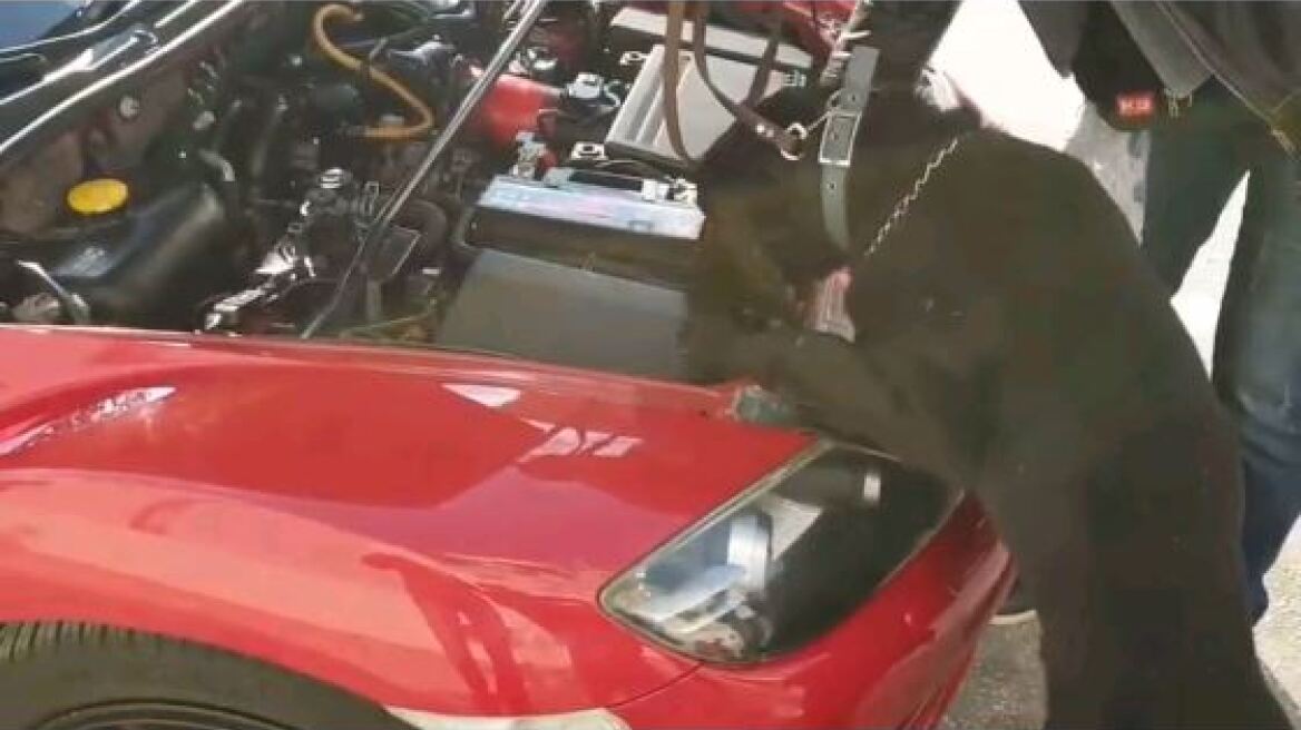 Εξαιρετικά επικίνδυνο ναρκωτικό ανακάλυψε ο «Άτλας»