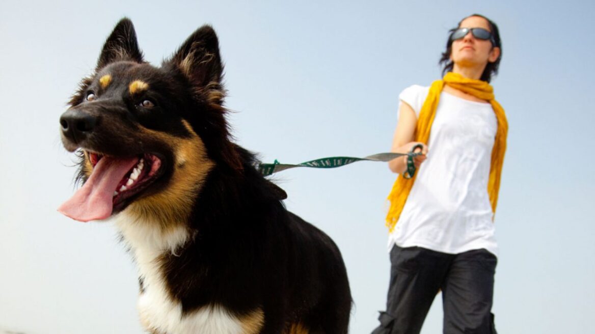 Είναι στο DNA μας να αγαπάμε τα σκυλιά;