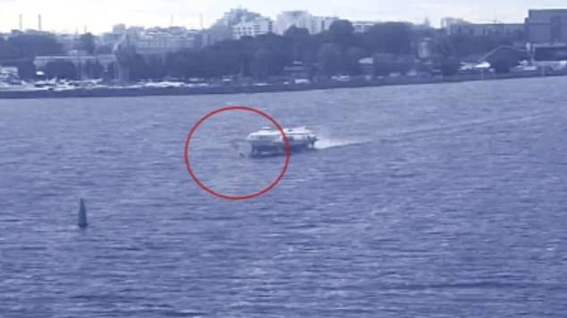 Ρώσος σέρφερ σκοτώθηκε μετά από σύγκρουση με «ιπτάμενο δελφίνι» - Το βίντεο σοκάρει