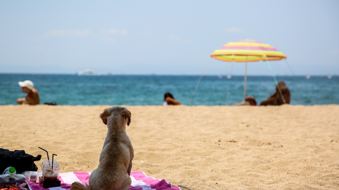 Καιρός: Ο μίνι-καύσωνας ξεπέρασε τους 38 βαθμούς στη Θεσσαλία