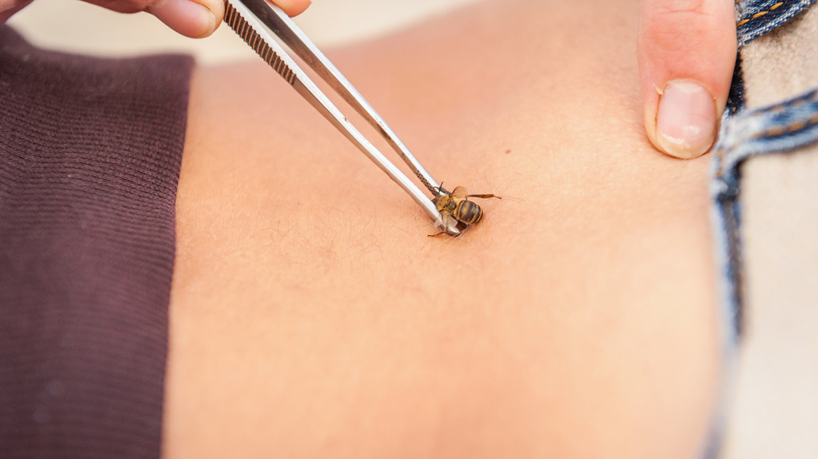 Επικίνδυνες ασθένειες που μεταδίδονται από τα ζώα