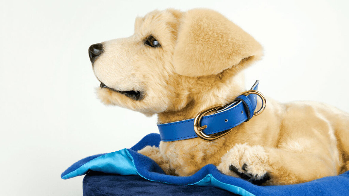 Αυτός ο σκύλος είναι ο καλύτερος φίλος των ασθενών με άνοια