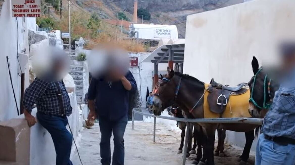Σαντορίνη: Φιλόζωοι καταγγέλλουν ξυλοδαρμό επειδή κατέγραφαν τα βασανιστήρια γαϊδουριών