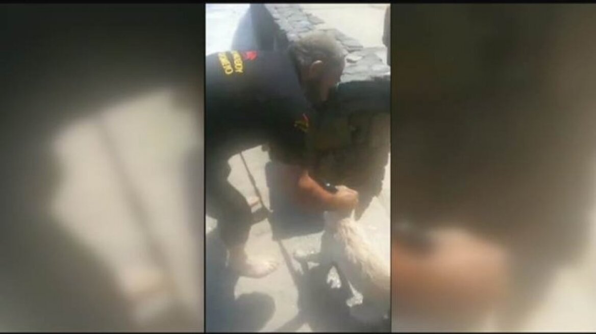 Ασυνείδητος στην Κρήτη, πέταξε ένα σκυλάκι στην θάλασσα να παλεύει με τα κύματα