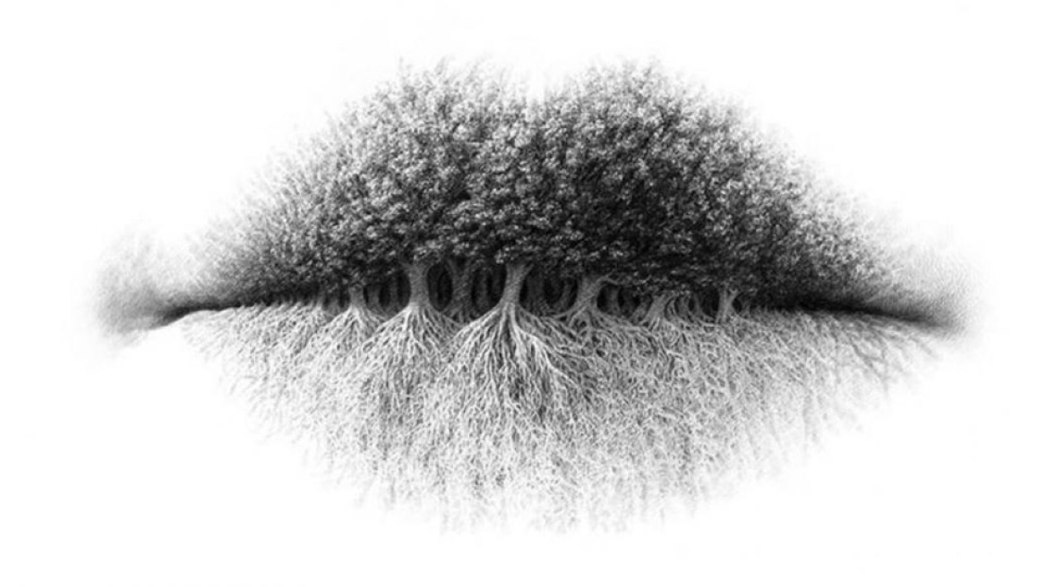 Εσείς τι βλέπετε σε αυτή την εικόνα