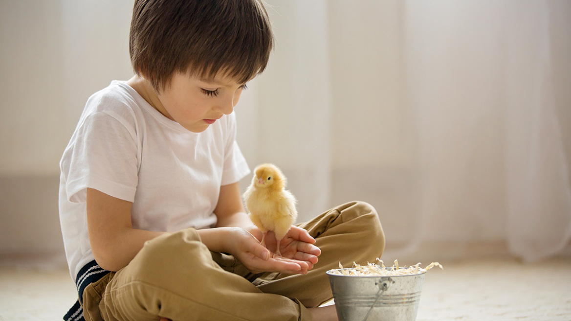 Μεγαλώσατε στην πόλη ή το χωριό; Τι σημαίνει αυτό για την υγεία σας