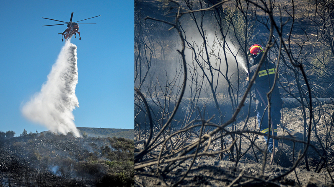 Ξέσπασαν 59 φωτιές σε ένα 24ωρο - Σε ύφεση όλα τα μέτωπα 