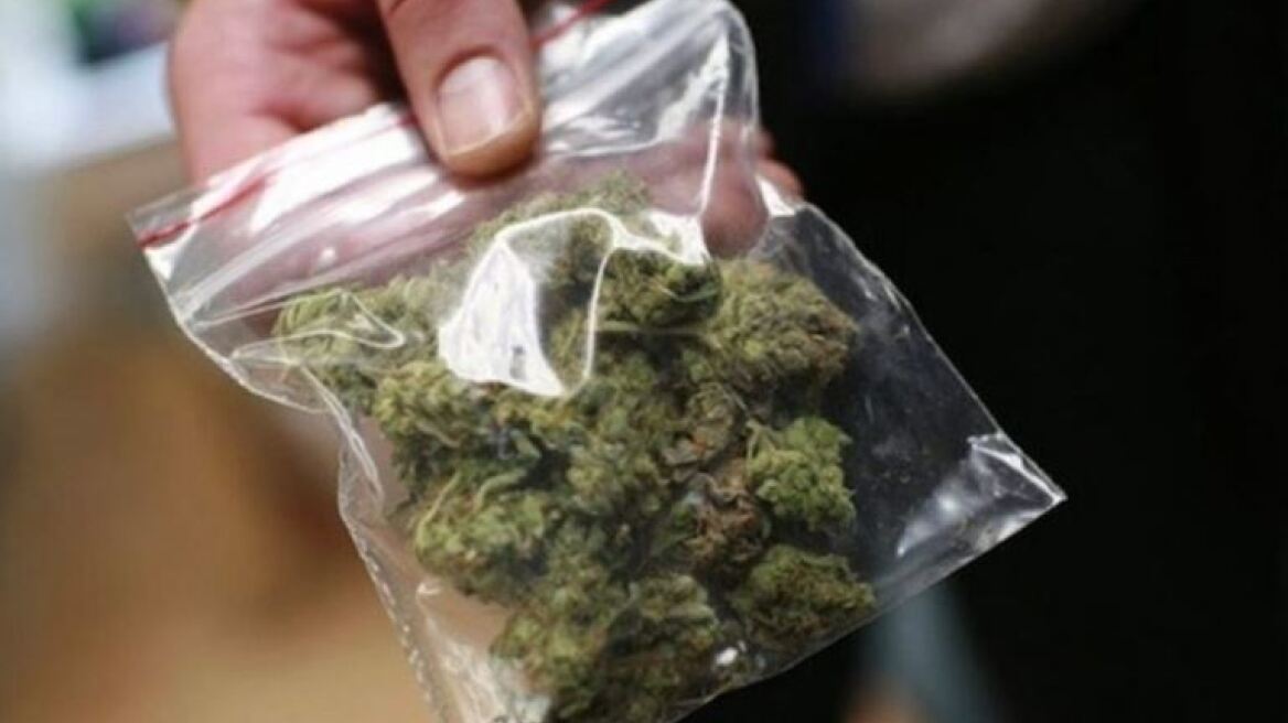 Ηράκλειο: Ανακάλυψαν φυτεία με 76 χασισόδεντρα 