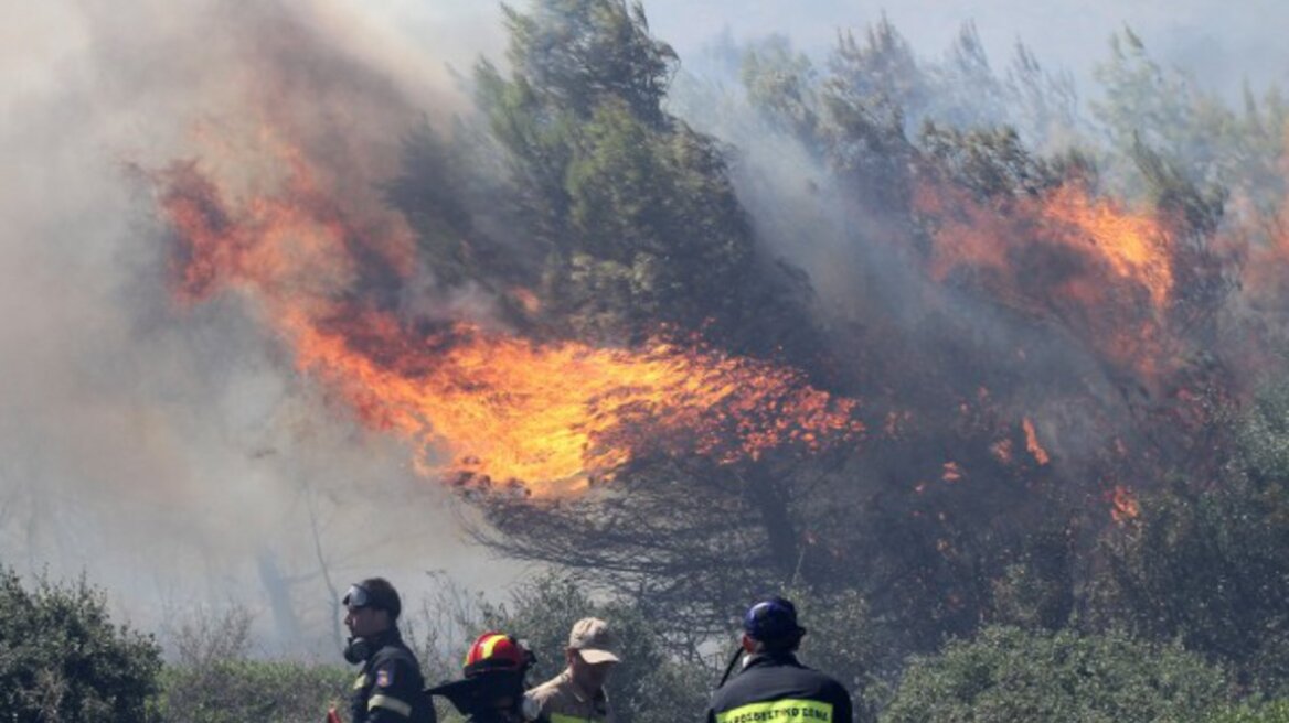 Φωτιά στην Κοίνυρα Θάσου