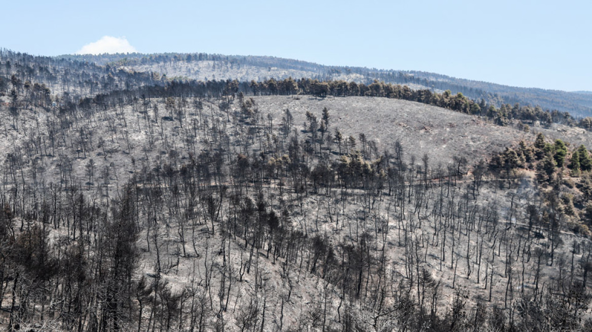 Εύβοια: Ασύλληπτη η καταστροφή που αφήνει πίσω της η φωτιά