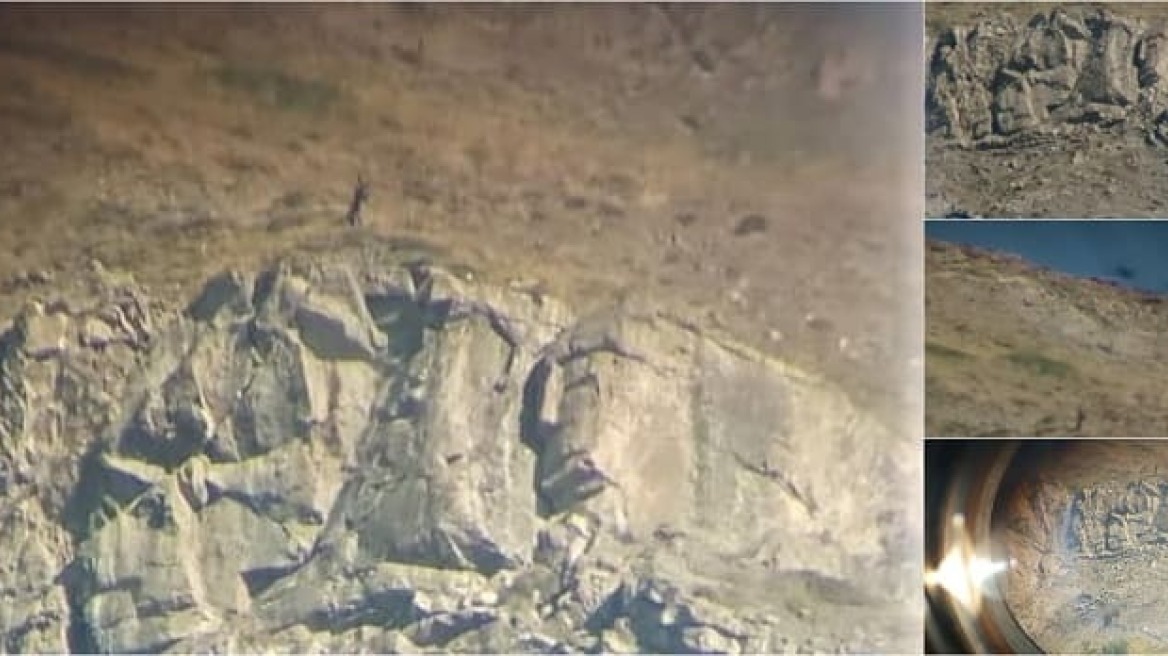 Ήπειρος: Αλβανοί κυνηγούν αγριόγιδα στο Γράμμο!