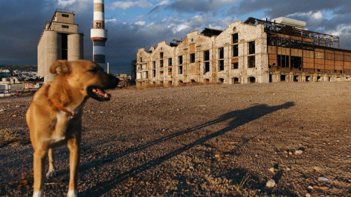 Το σχέδιο για τα λιπάσματα και ο ξεχασμένος διαγωνισμός