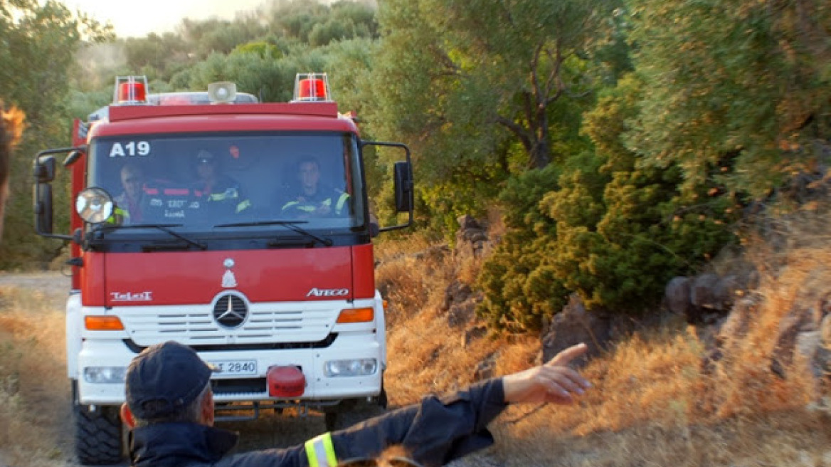 Φωτιά στην Ερέτρια