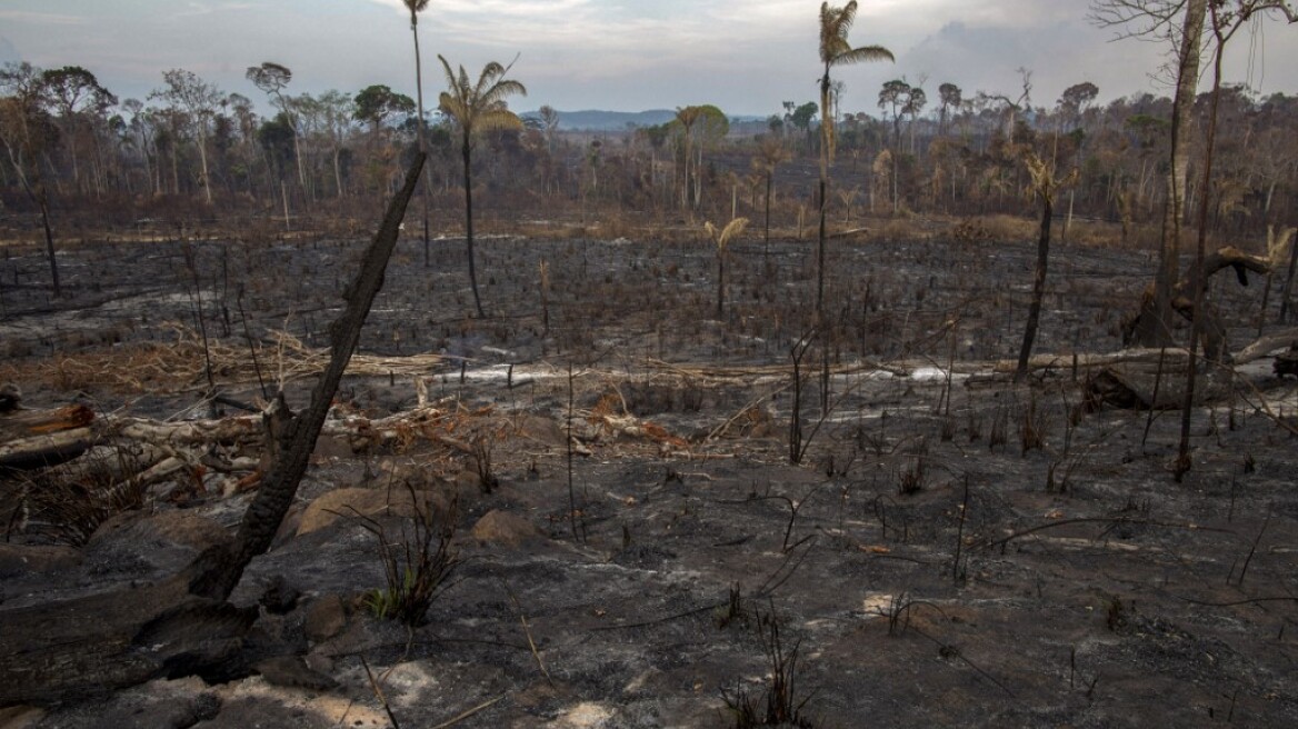 Συναγερμός για τον Αμαζόνιο: Οι φωτιές του 2024 «έπνιξαν» την ατμόσφαιρα με 791 εκατ. τόνους διοξειδίου του άνθρακα