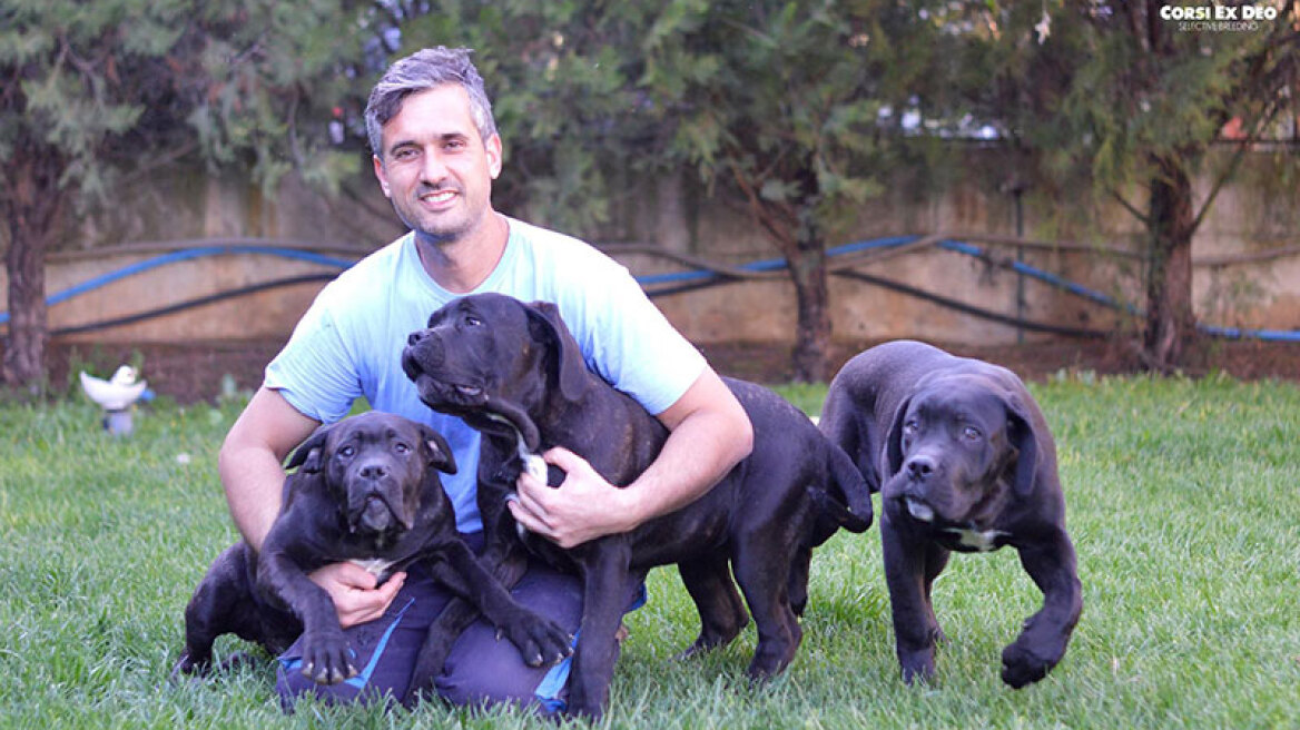 Ο ρωμαλέος σκύλος Cane Corso είναι ο τέλειος σωματοφύλακας